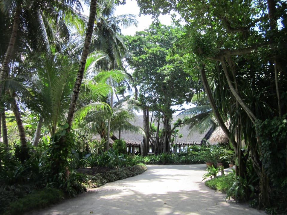 Unser Hauptrestaurant Kuramathi Maldives