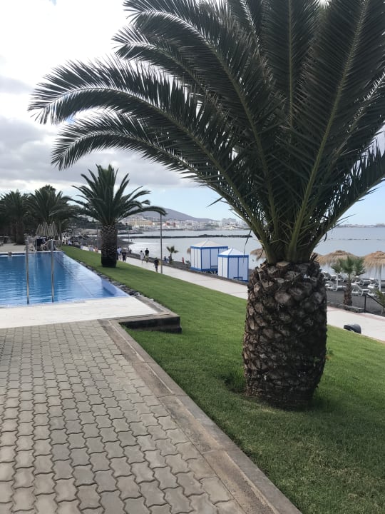 Pool Hotel Riu Palace Tenerife