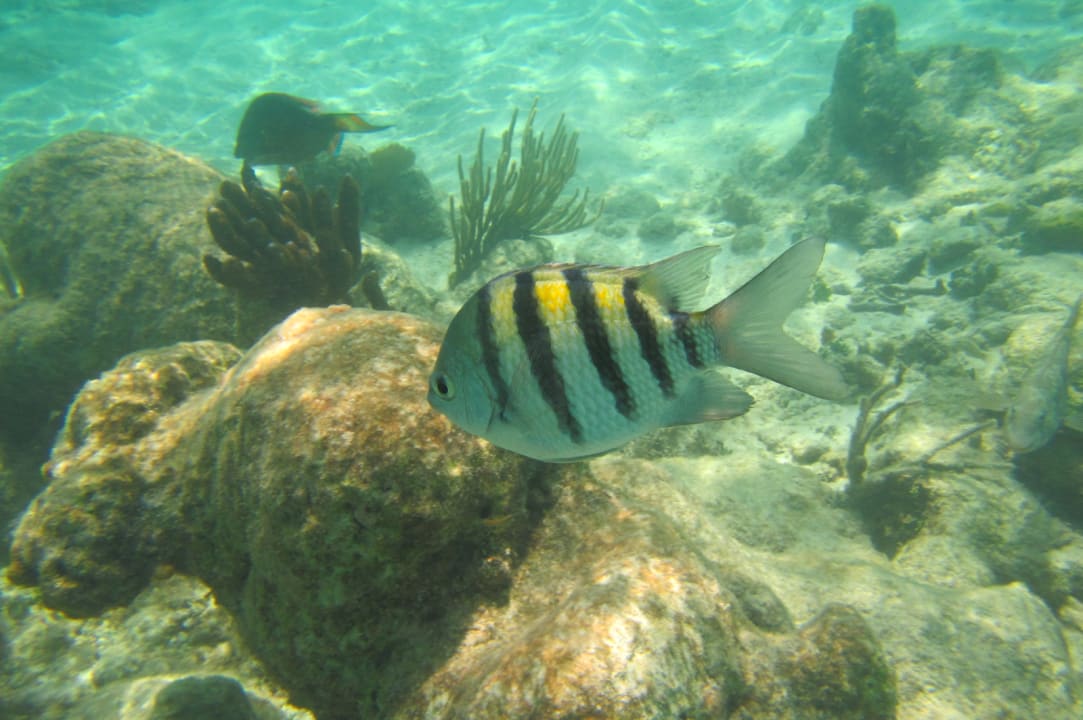 Sport & Freizeit Akumal Bay Beach & Wellness Resort