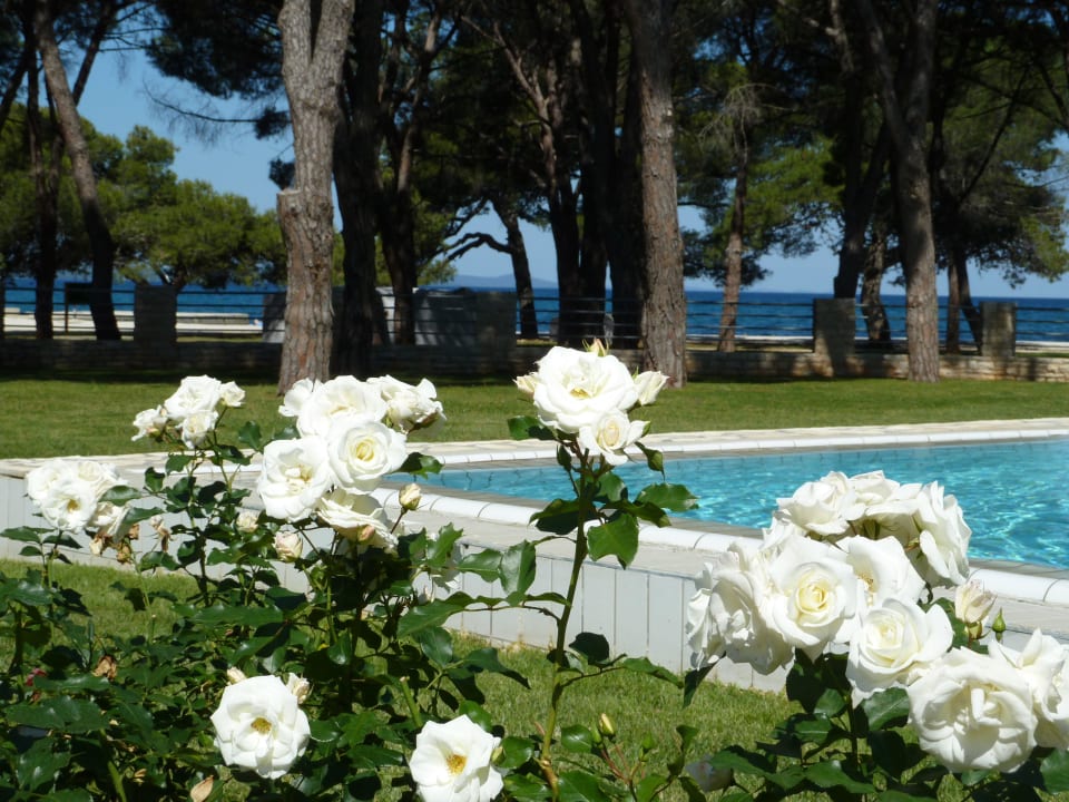 Gepflegter Garten Falkensteiner Hotel Adriana