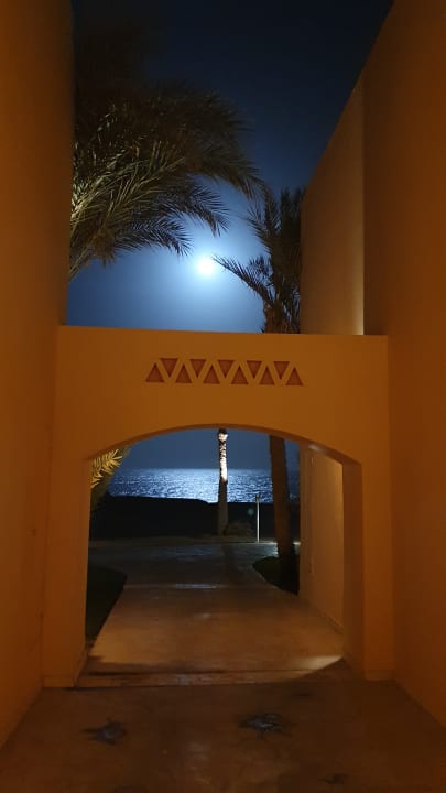 Ausblick Steigenberger Coraya Beach - Adults only