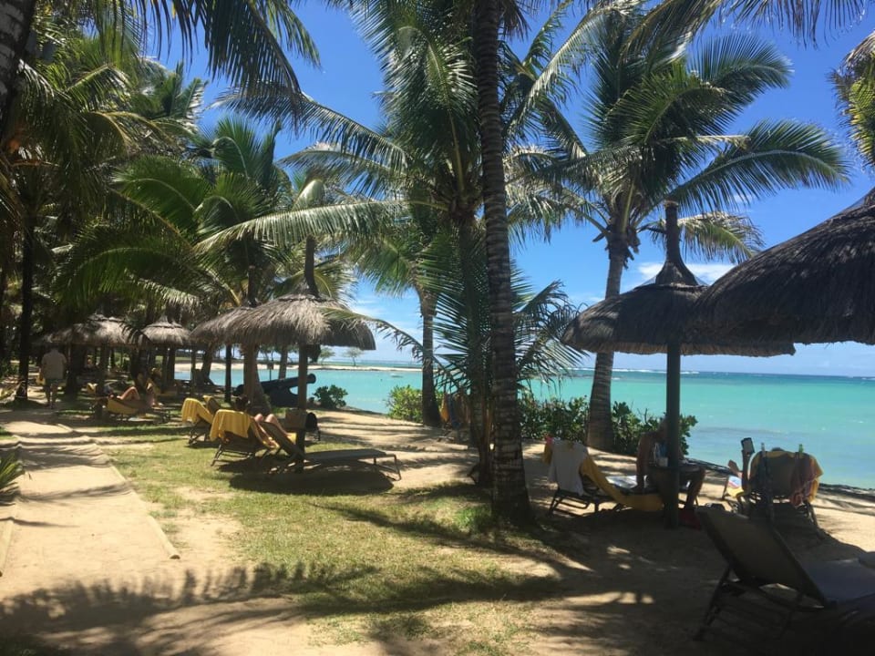 Gartenanlage Tropical Attitude - Adults only