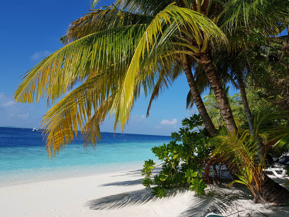 Strand Vilamendhoo Island Resort & Spa