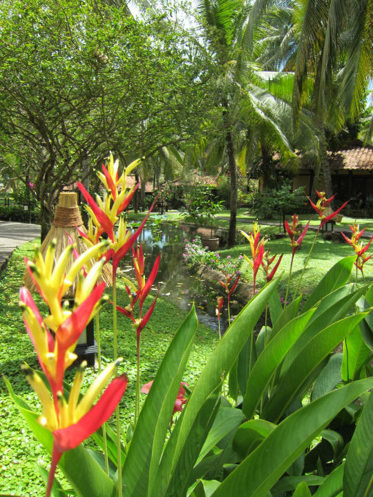 Garten Seahorse Resort & Spa
