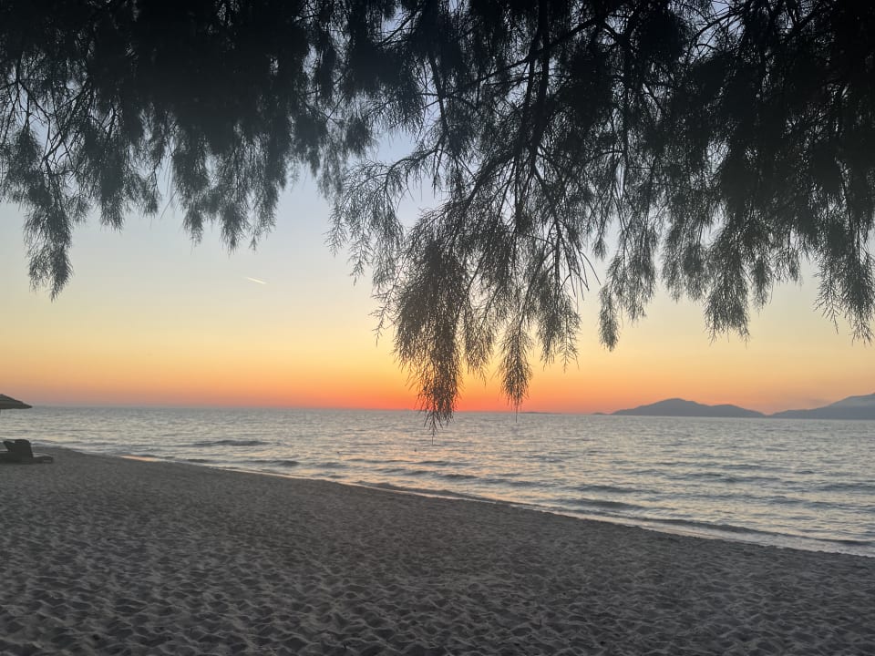 Strand TUI BLUE Palazzo del Mare