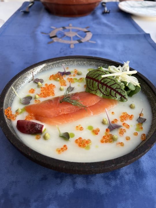 Gastro Acanthus Cennet Barut Collection