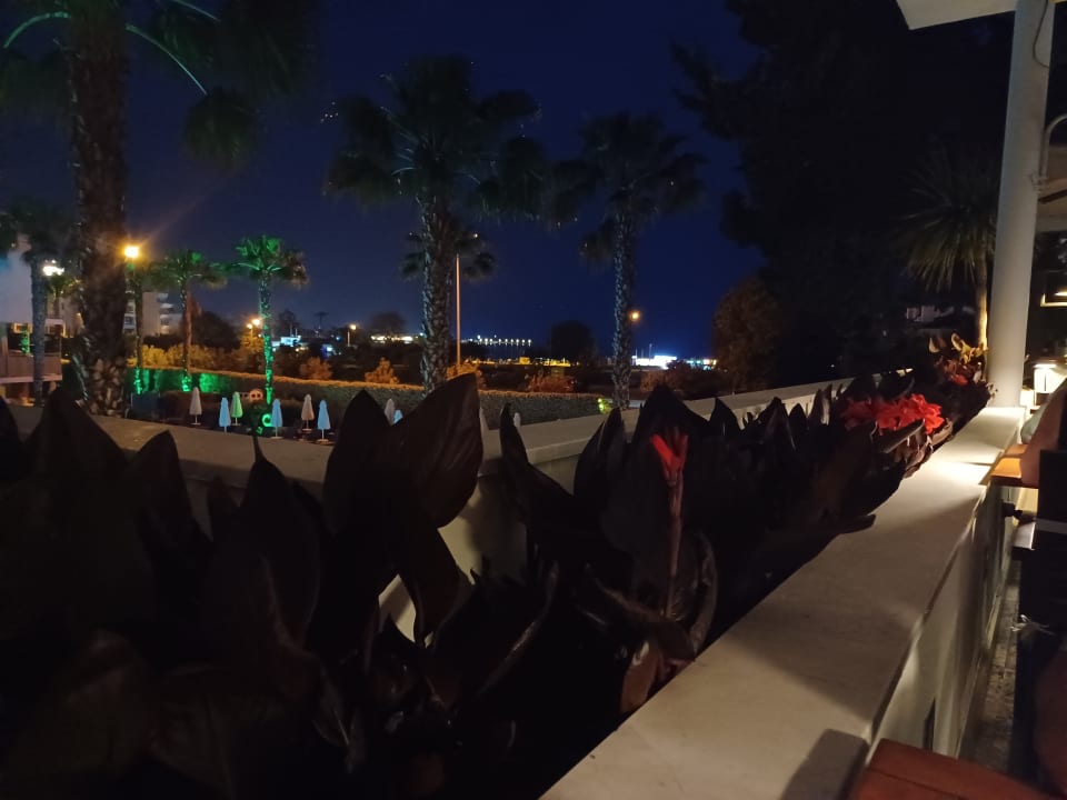 Ausblick TUI BLUE Barut Andız - All Inclusive - Adults Only