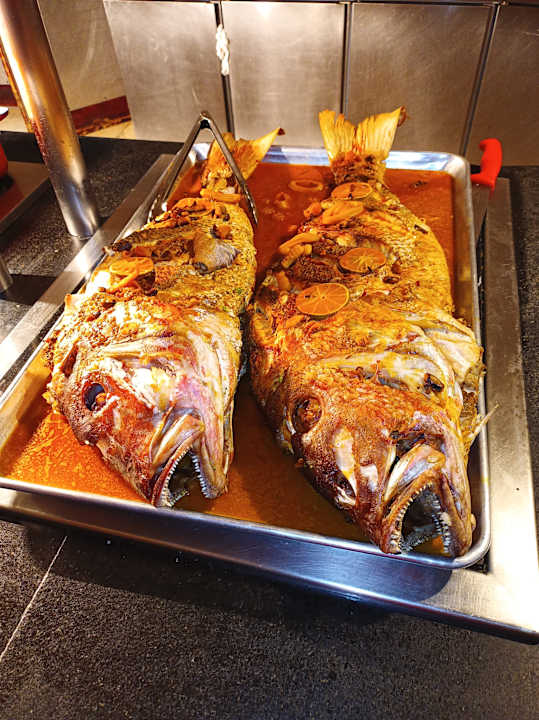 Gastro Grand Palladium Select Bávaro Resort & Spa