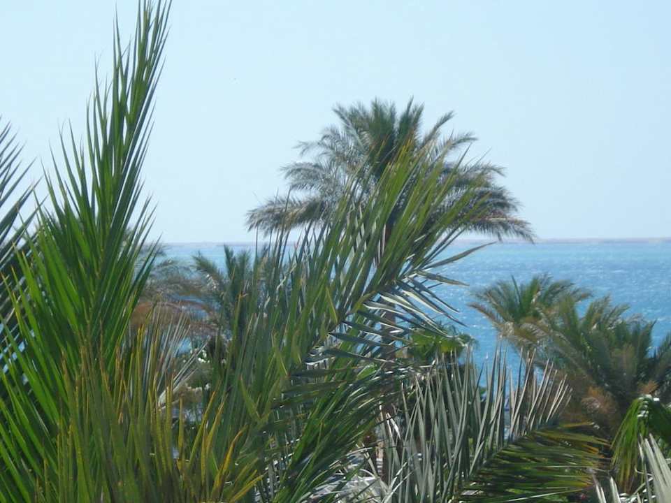 Meerblick The Grand Hotel Hurghada