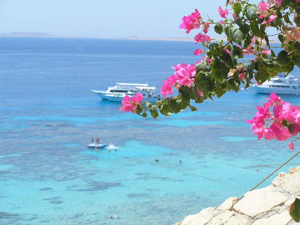 Widok z tarasu JAZ Fanara Resort