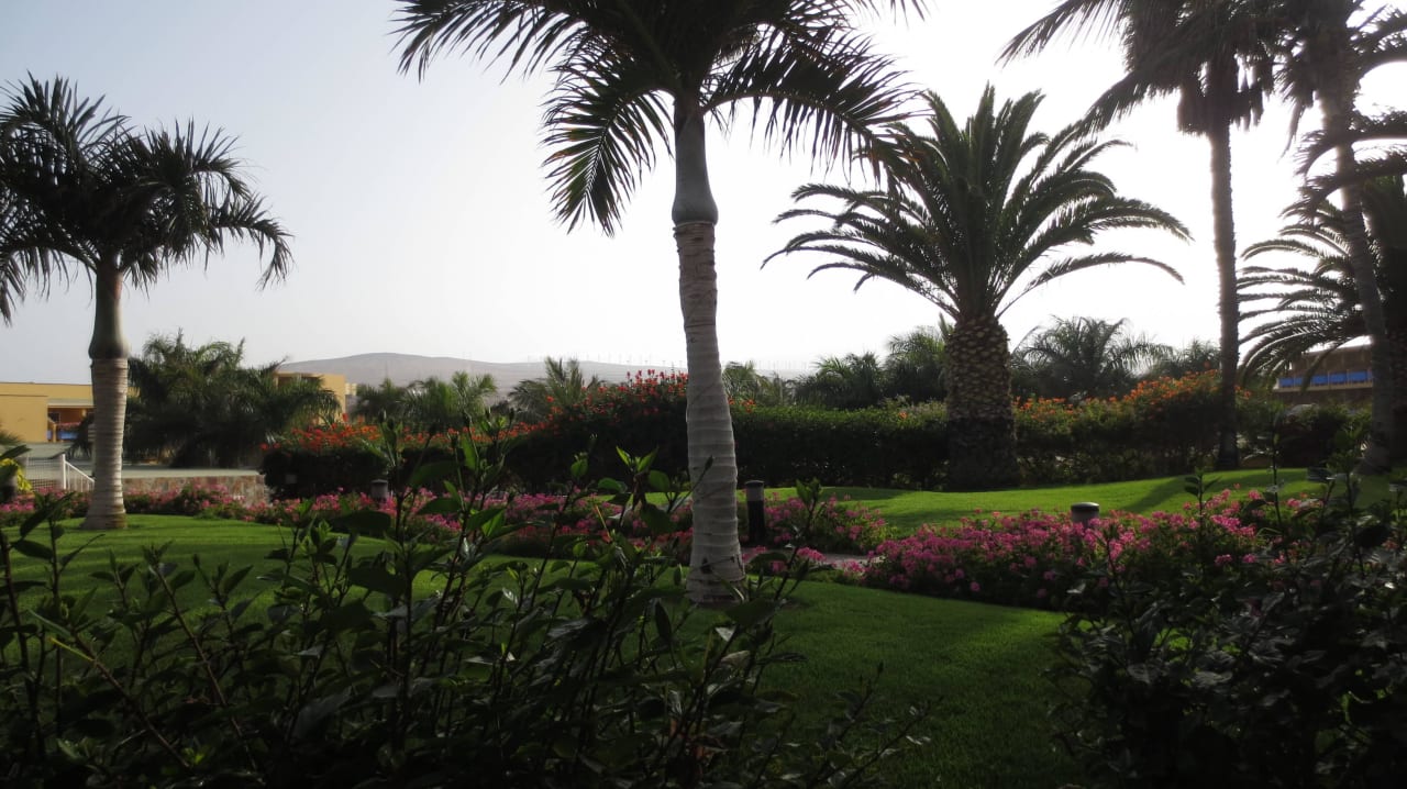 Blick von Restaurantterrasse Club Hotel Drago Park