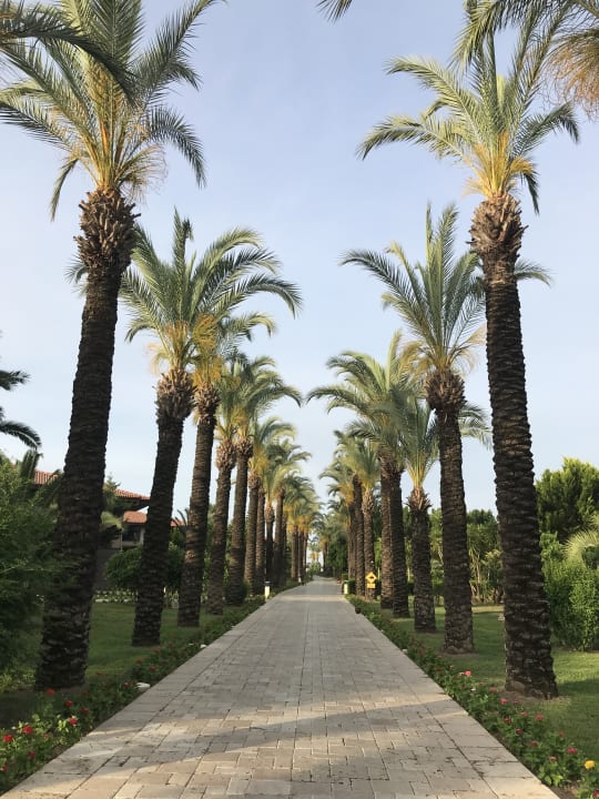 Gartenanlage TUI BLUE Palm Garden