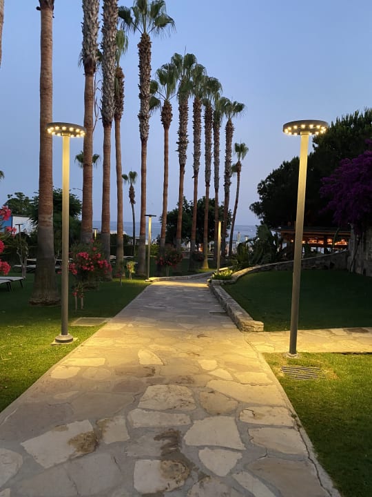 Gartenanlage Arum Barut Collection