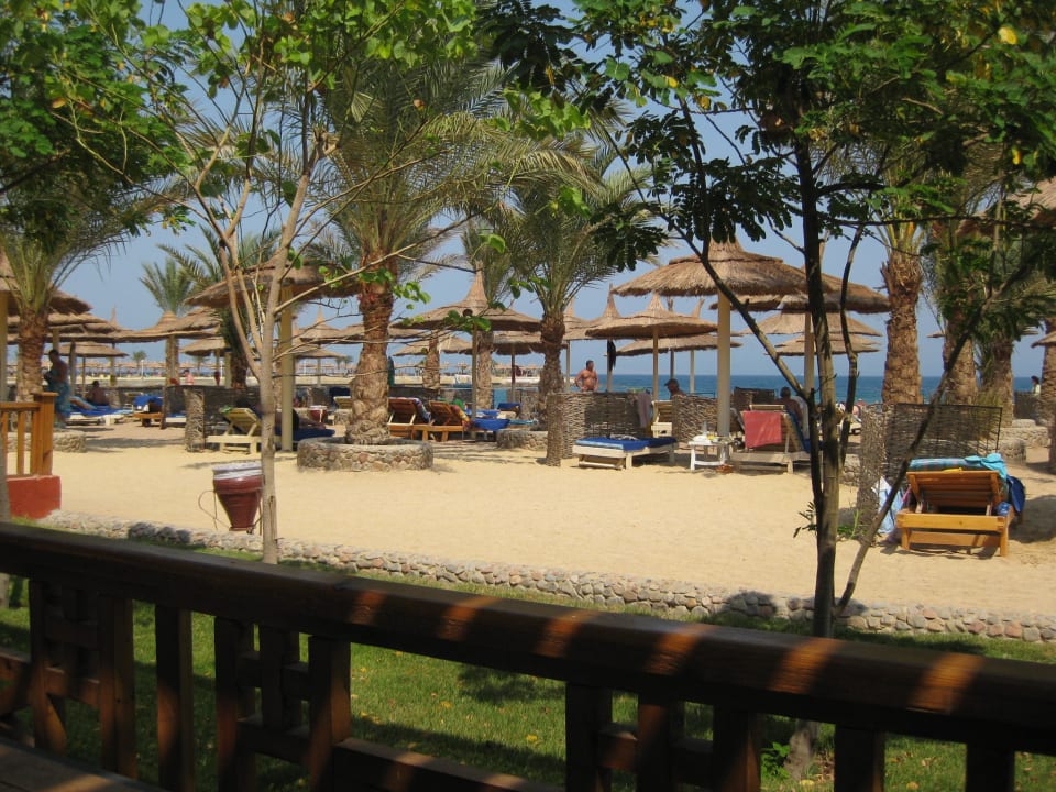 Ausblick vom Asiarestaurant Beach Albatros Resort