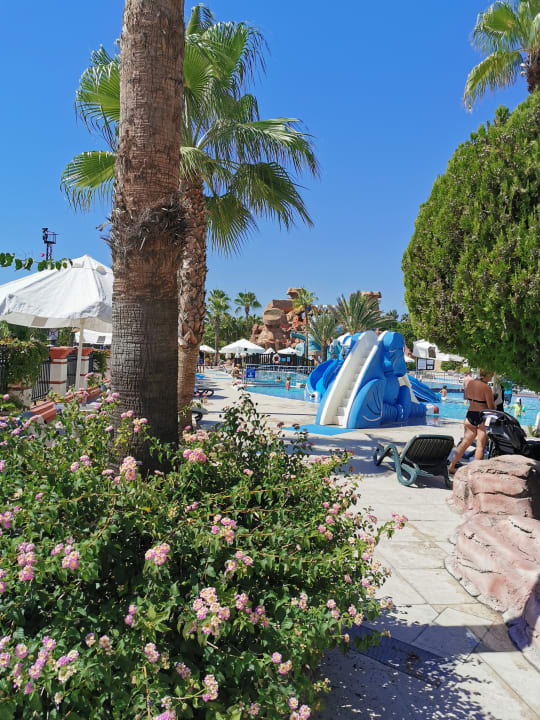 Pool Kamelya Aishen Club