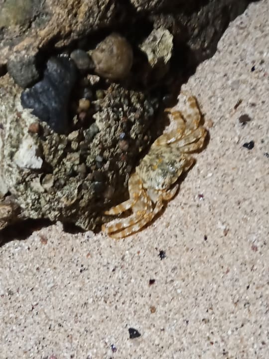 Strand Three Corners Sea Beach Resort