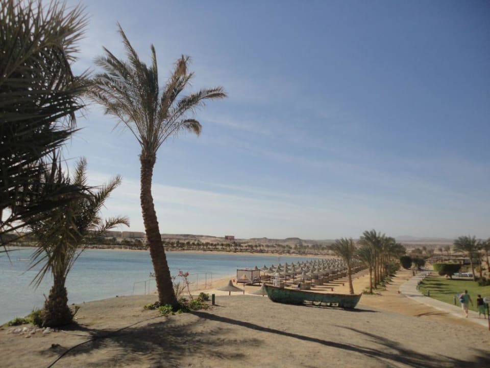 Blick auf den Strand Steigenberger Coraya Beach - Adults only