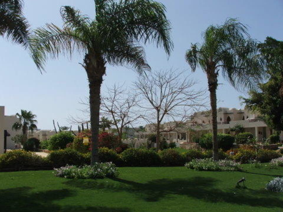 Ogrod Reef Oasis Beach Resort