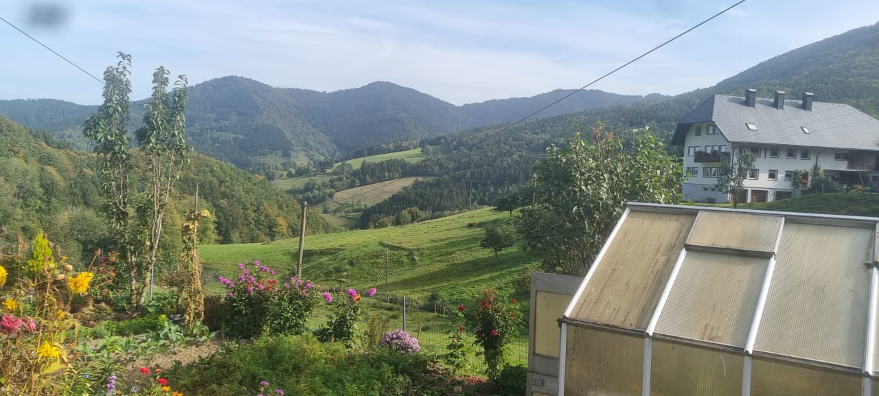 Ausblick Bauernhof Bernhardenhof
