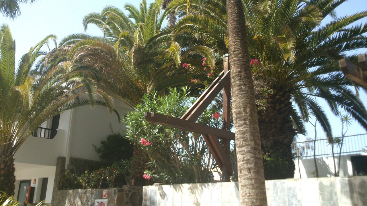 Hotelgarten Corallium Beach by Lopesan Hotels - Adults only