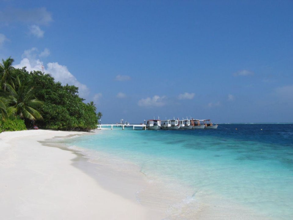 Taucherboote Vilamendhoo Island Resort & Spa