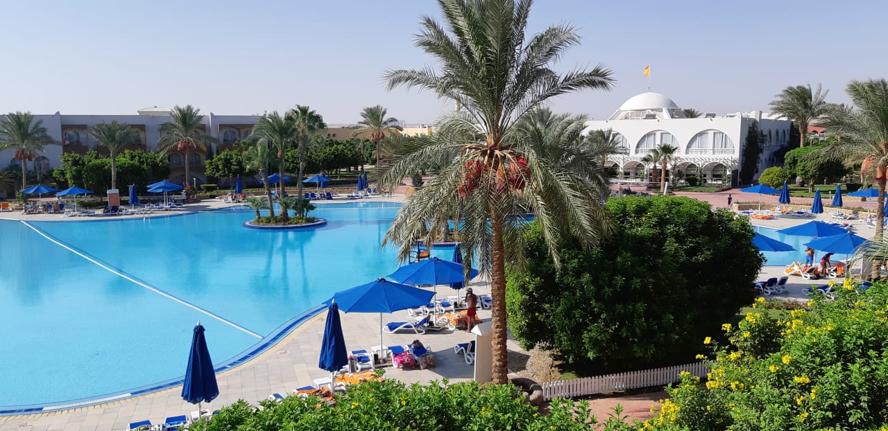 Ausblick  Desert Rose