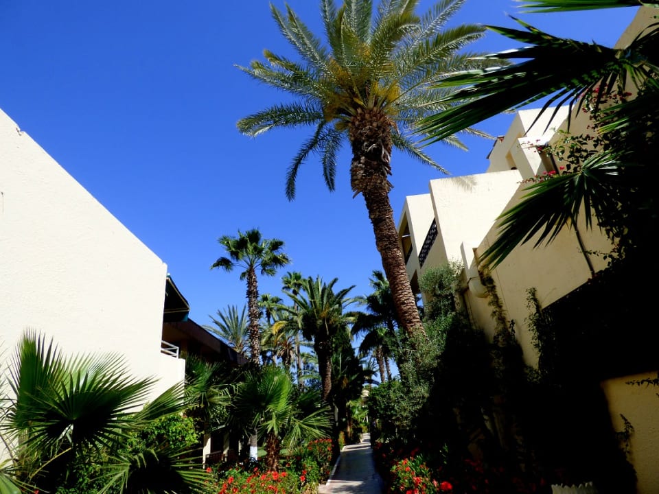 Gartenanlage Hotel Paradis Palace