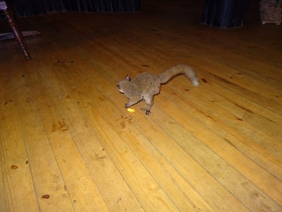 Sonstiges Shimba Hills Lodge