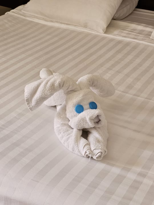 Zimmer Hotel Three Corners Ocean View prestige - Adults only