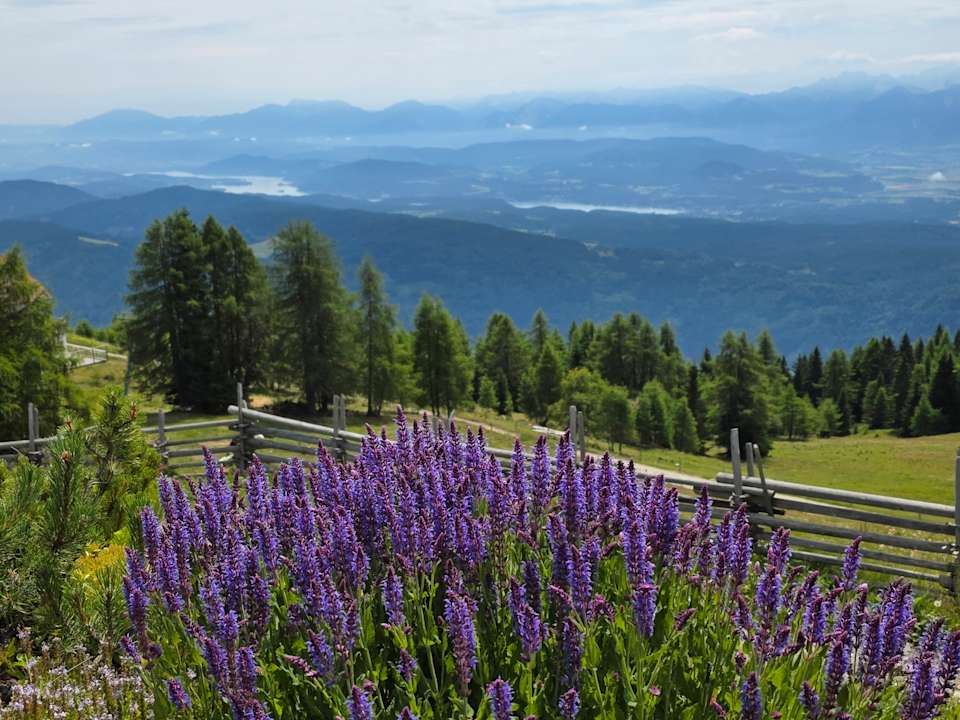 Sonstiges Mountain Resort Feuerberg