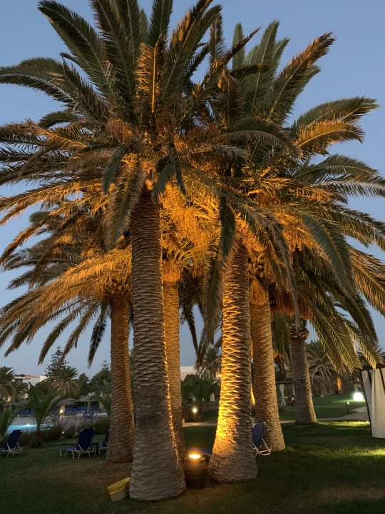 Gartenanlage Anissa Beach & Village