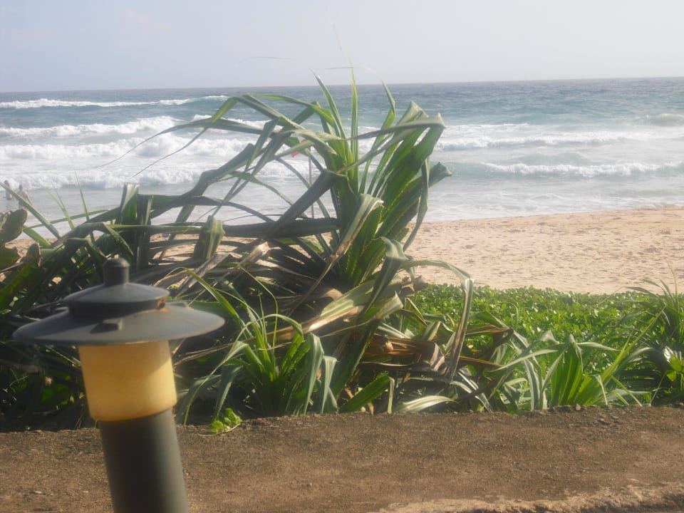 Sehr schöne Aussicht Hotel Koggala Beach