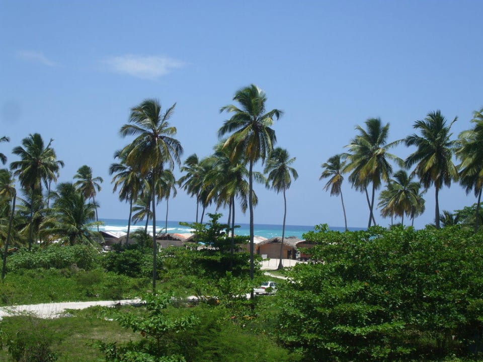 Ausicht aus dem Balkon mit meerblick Ocean Blue & Sand