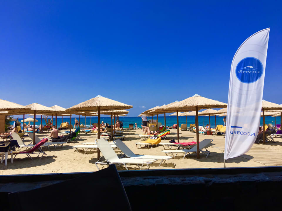 Ausblick allsun Hotel Carolina Mare