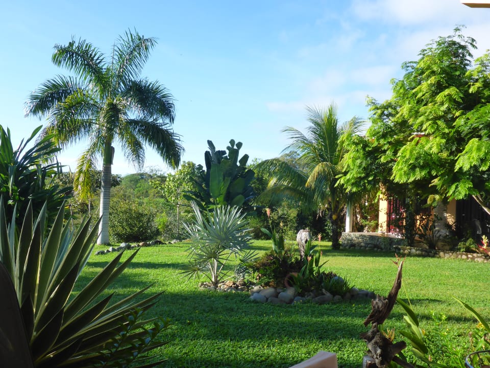 Gartenanlage Finca Buena Vista Las Lajas