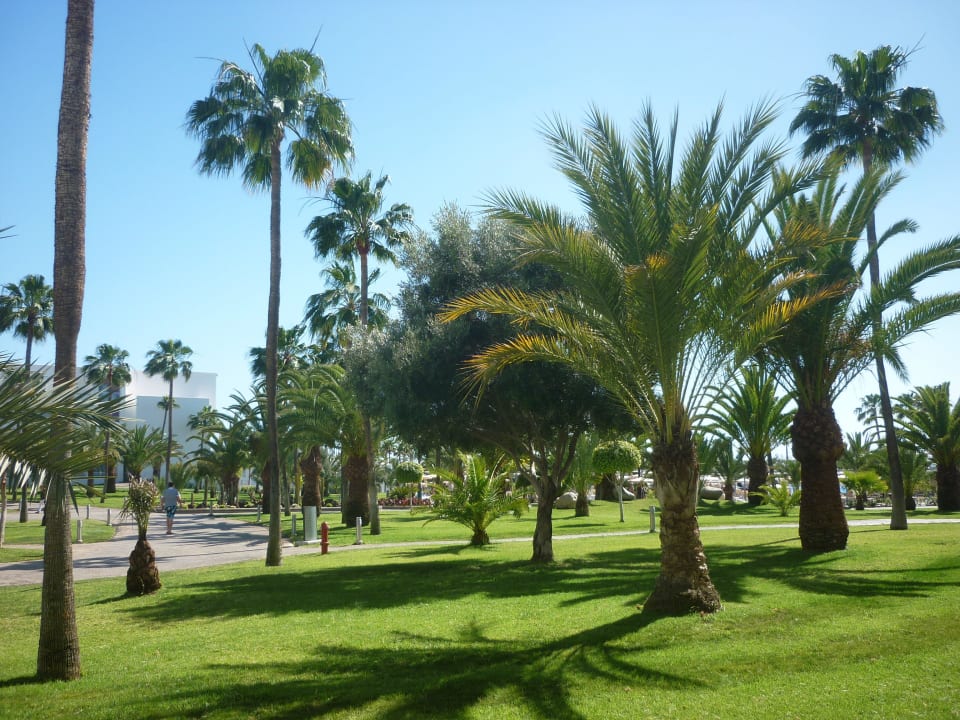 Vom Zimmer auf die Gartenanlage Hotel Riu Gran Canaria
