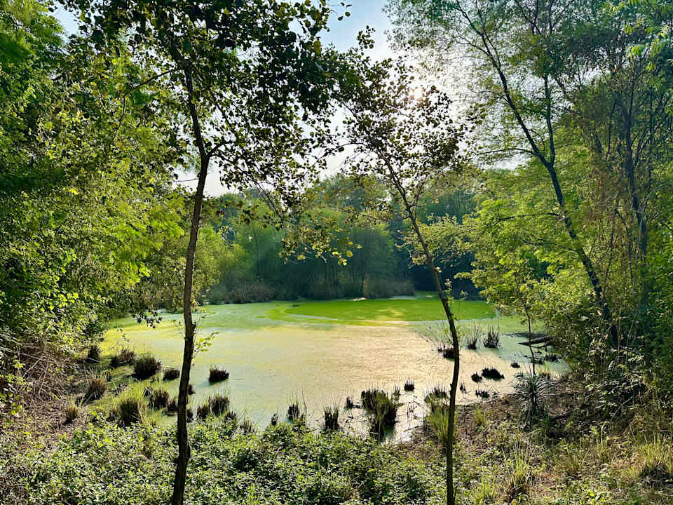 Gartenanlage Hotel Aman-I-Khás