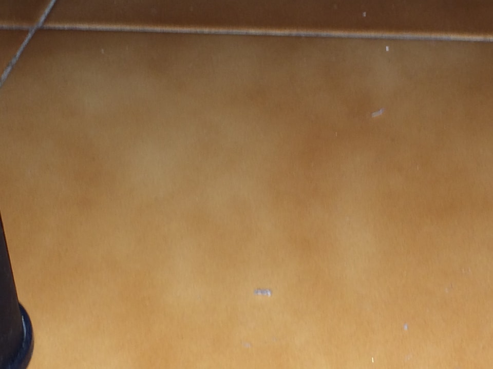 Zimmer BLUESEA Costa Jardin Spa