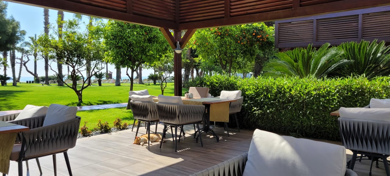 Gastro TUI MAGIC LIFE Beldibi +16