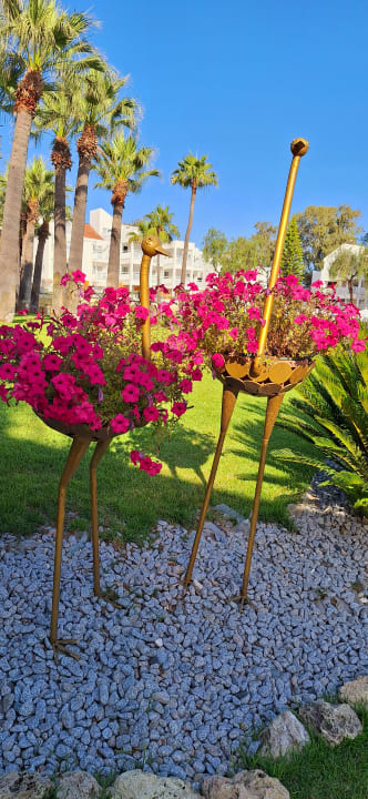 Gartenanlage Monachus Family Resort Sorgun
