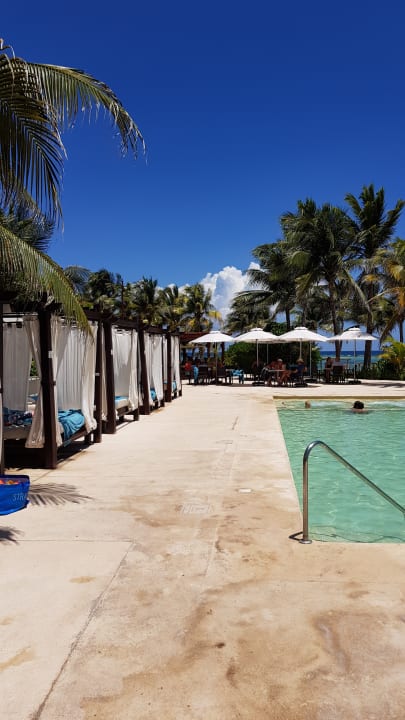 Pool Akumal Bay Beach & Wellness Resort