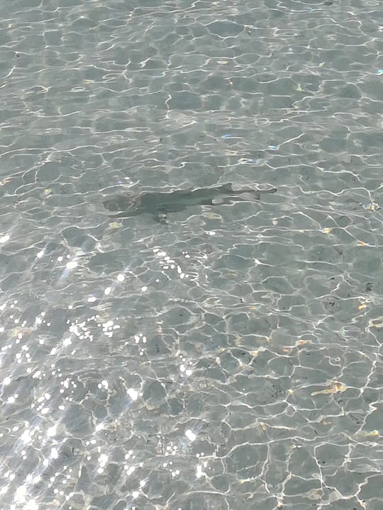 Strand NH Maldives Kuda Rah Resort