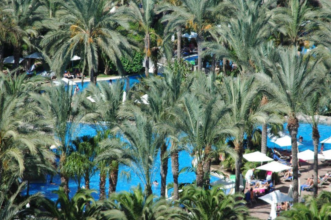 Palmenpracht Lopesan Costa Meloneras, Resort & Spa