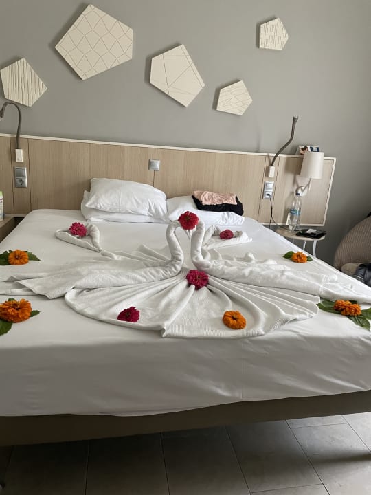 Zimmer TUI BLUE Palm Garden