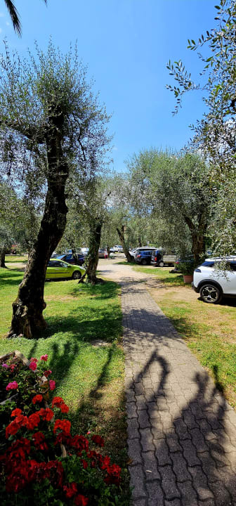 Gartenanlage Hotel Alpi - Residence al Parco