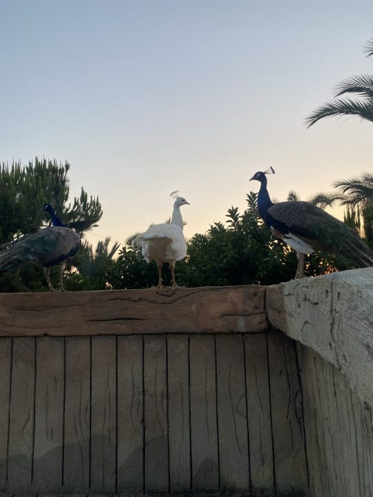 Sonstiges Long Beach Alanya