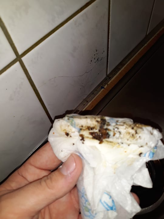 Zimmer Het Grootslag Vakantiepark