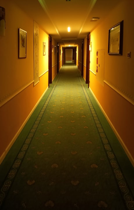 Sonstiges Spirit & SPA Hotel Birkenhof am Elfenhain