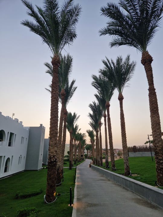 Gartenanlage Sunrise Tucana Resort - Grand Select