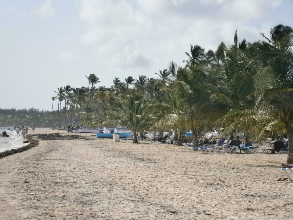 Super Spaziergänge  Villas Bavaro Resort & Spa